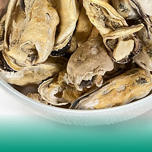 Freeze-Dried Green-Lipped Mussels Cat Treats - 2 Oz