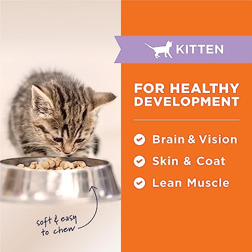 Kitten Chicken Recipe Cat Food - 9.5 oz. Bag