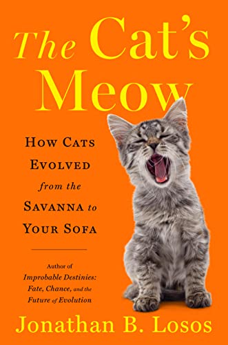 From Savanna to Sofa: Cat Evolution in 8 Words