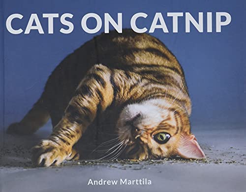 Catnip for your Feline Friends