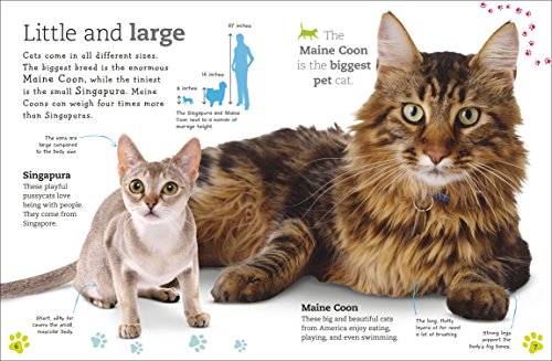 Complete Feline Guide: Cats and Kittens (Pet Edition)