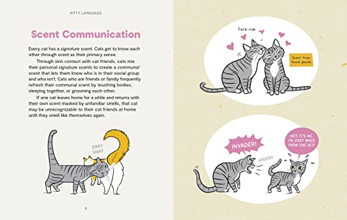 Illustrated Guide: Unveiling Kitty Language for Cats