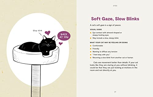 Illustrated Guide: Unveiling Kitty Language for Cats