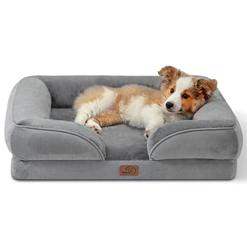 Orthopedic Cat Bed - Foam Sofa with Washable Cover