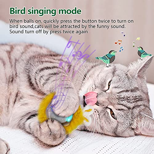 Interactive Cat Toy with Motion Activation and Super Driver