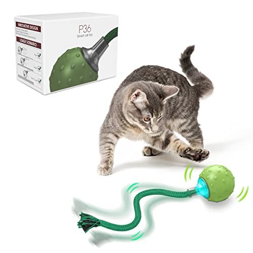 Interactive Rotating Motion Activate Cat Toy Ball (Green)