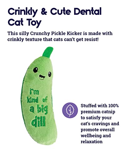 Crunchy Pickle Kicker Catnip Toy for Cats