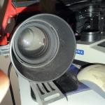 HyperPod 135 Lens Mount for Rokinon Astrophotography