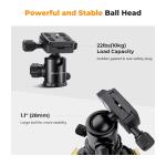 64''/162cm DSLR Tripod with 360 Panorama Ball Head