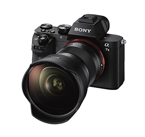 Sony SEL057FEC Fisheye Converter Lens for Mirrorless Cameras