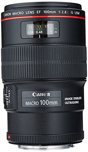 Canon EF 100mm f/2.8L IS USM Macro Lens