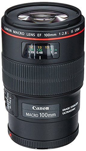 Canon EF 100mm f/2.8L IS USM Macro Lens