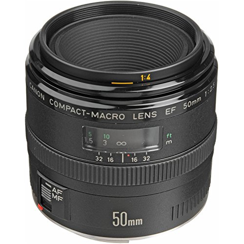 Canon EF 50mm f/2.5 Macro Lens
