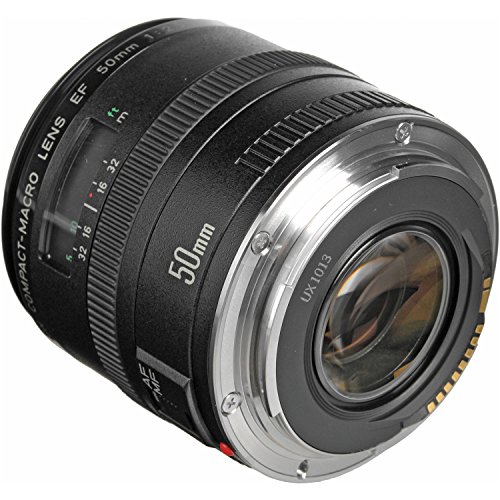 Canon EF 50mm f/2.5 Macro Lens