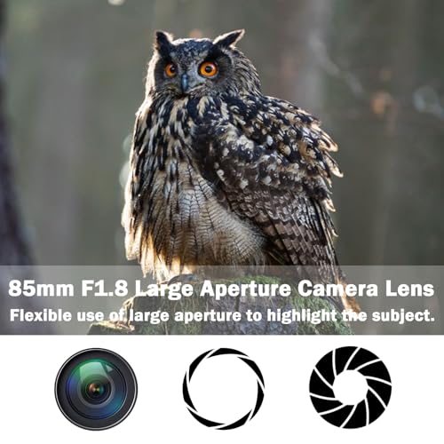 Canon EF 85mm f1.8 Portrait Lens