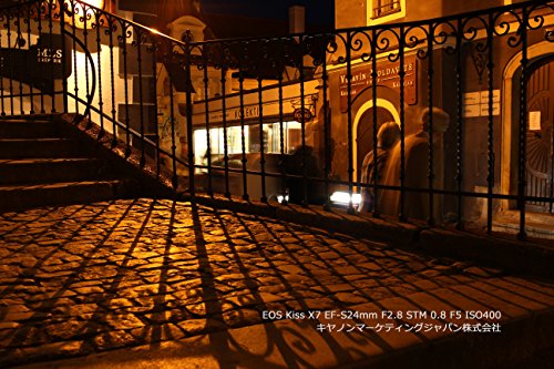 Canon EF-S 24MM 1.2.8 STM: Best-selling Photo Gear