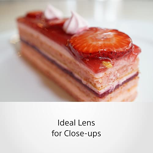 Sony 30mm e-mount Macro Lens in Best Selling Photo Gear