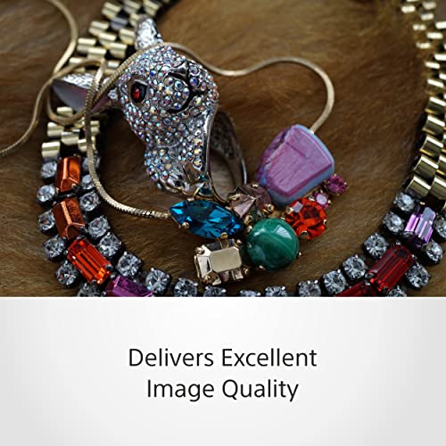 Sony 30mm e-mount Macro Lens in Best Selling Photo Gear