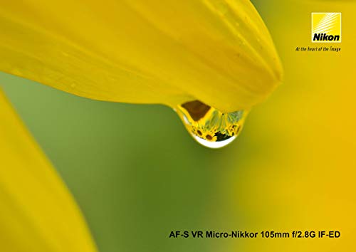 Nikon AF-S VR Micro-NIKKOR 105mm f/2.8G IF-ED