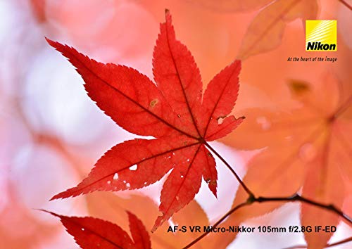 Nikon AF-S VR Micro-NIKKOR 105mm f/2.8G IF-ED