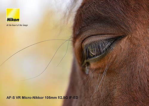 Nikon AF-S VR Micro-NIKKOR 105mm f/2.8G IF-ED