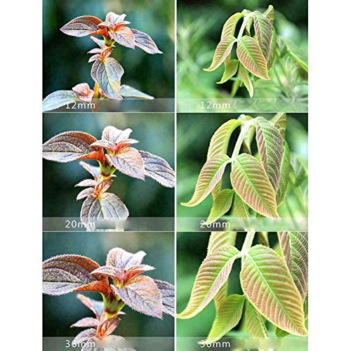 Mcoplus Extnp Auto Focus Macro Extension Tube Set for Nikon SLR Cameras