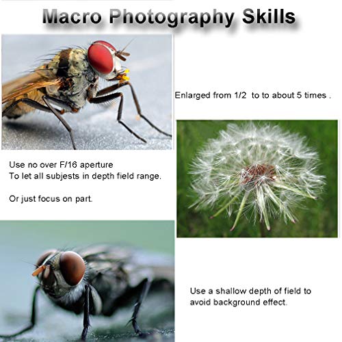 Mcoplus Extnp Auto Focus Macro Extension Tube Set for Nikon SLR Cameras