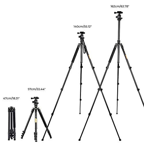 64''/162cm DSLR Tripod with 360 Panorama Ball Head