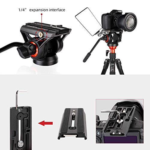 COMAN Fluid Head Tripod: 70.8 inch, Camera Monopod