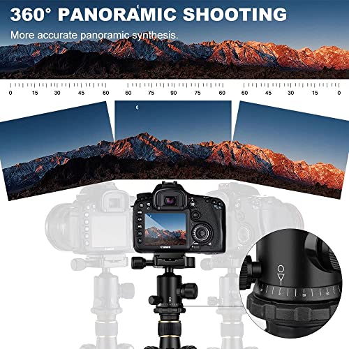 64''/162cm DSLR Tripod with 360 Panorama Ball Head