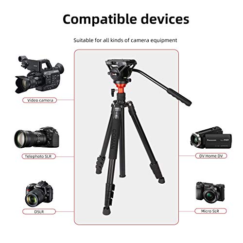 COMAN Fluid Head Tripod: 70.8 inch, Camera Monopod