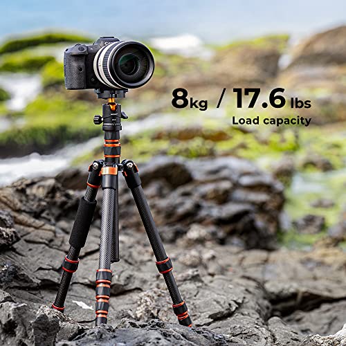 Lightweight Carbon Fiber Camera Tripod with Ball Head