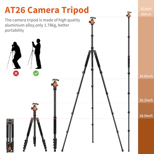 VICTIV 81" Camera Tripod: Heavy Duty & Professional