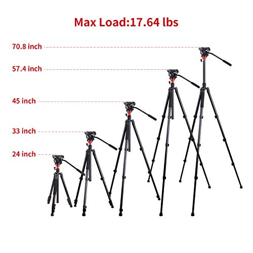 COMAN Fluid Head Tripod: 70.8 inch, Camera Monopod