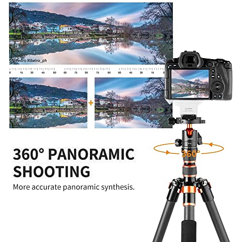 Lightweight Carbon Fiber Camera Tripod with Ball Head
