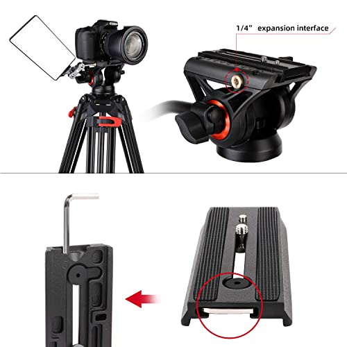 74.4" Twin Tube Tripod for DSLR Camera - Black