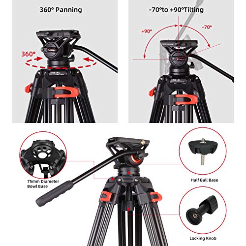 74.4" Twin Tube Tripod for DSLR Camera - Black