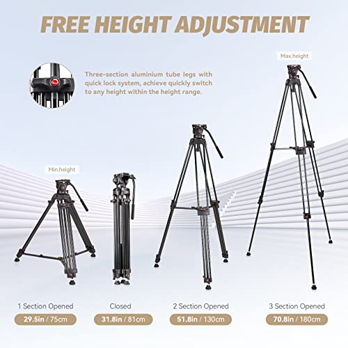 RAUBAY 70.8" Pro Video Tripod Fluid Head DSLR