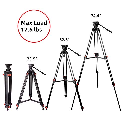74.4" Twin Tube Tripod for DSLR Camera - Black