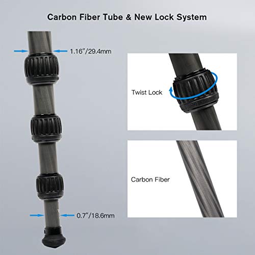 SIRUI AM-284 Camera Tripod with K20X Ball Head