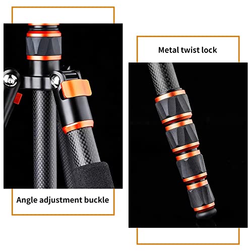 Lightweight Carbon Fiber Camera Tripod with Ball Head