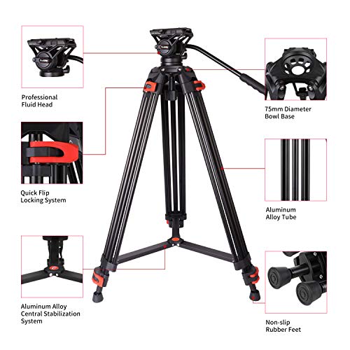 74.4" Twin Tube Tripod for DSLR Camera - Black