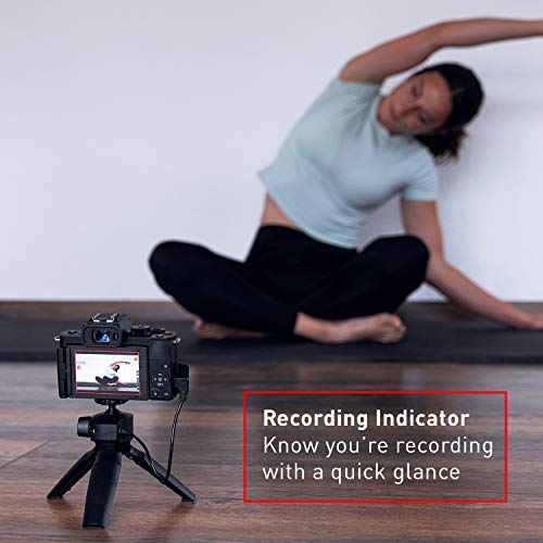 Panasonic LUMIX G100 4K Camera with Microphone