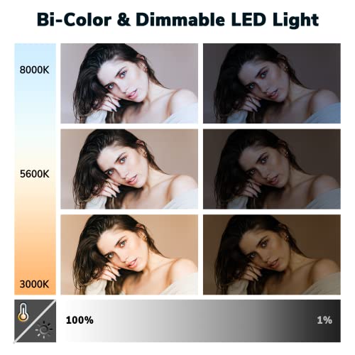 D50 Photography Lighting Kit - 2-Pack LED Video Lights