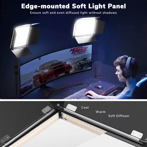 D50 Photography Lighting Kit - 2-Pack LED Video Lights