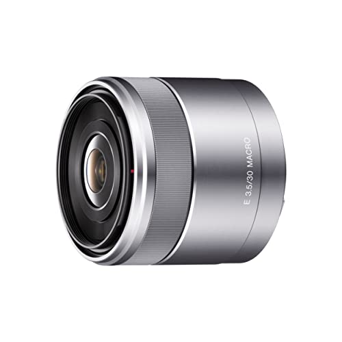Sony 30mm e-mount Macro Lens in Best Selling Photo Gear