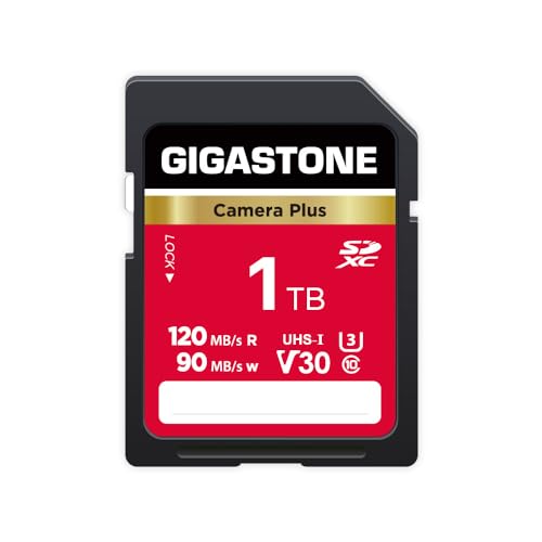 GIGASTONE 1TB Camera Plus, V30 SDXC Memory