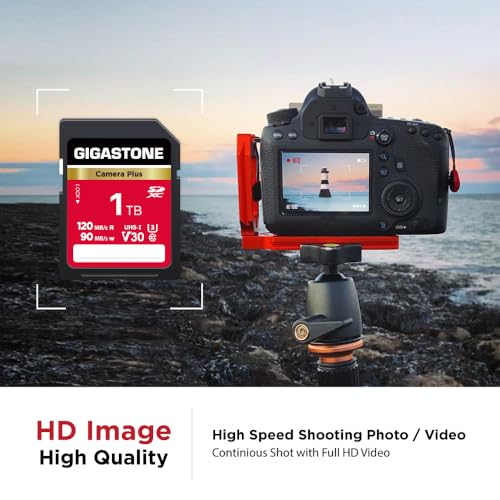 GIGASTONE 1TB Camera Plus, V30 SDXC Memory