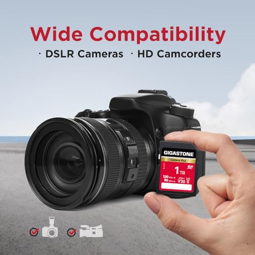 GIGASTONE 1TB Camera Plus, V30 SDXC Memory