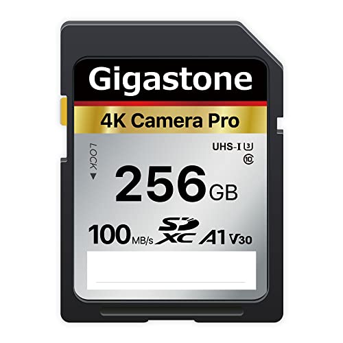 Gigastone 256GB SD Card: Ultra HD Video Compatible